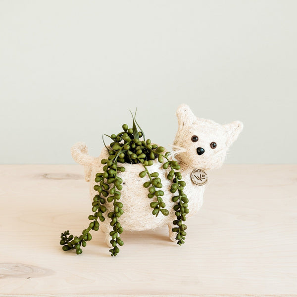 LIKHÂ Baby Cat Planter - Handmade Pot | LIKHÂ Planters LIKHÂ 