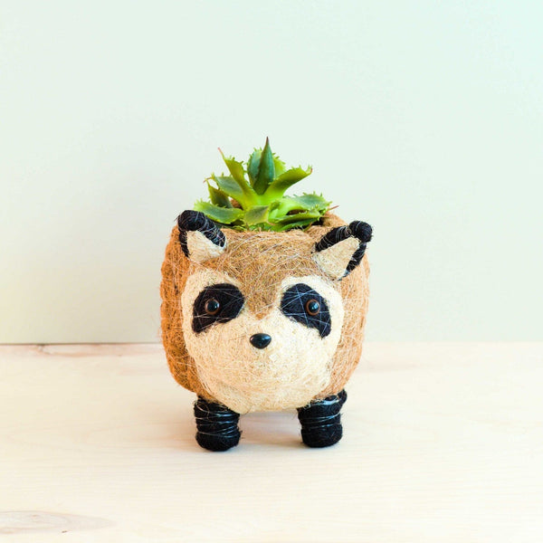 LIKHÂ Raccoon Planter - Handmade Plant Pot | LIKHÂ LIKHÂ 