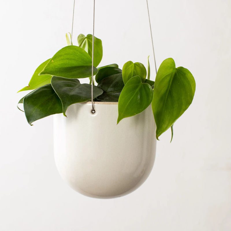 Arched Stoneware Hanging Planter Hanging Planters Convivial No. 2 