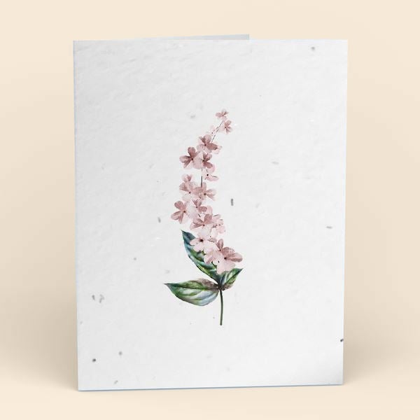 Assorted Botanical Plantable Cards - 8 Pack Greeting Cards Cute Root 