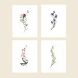 Assorted Botanical Plantable Cards - 8 Pack Greeting Cards Cute Root 