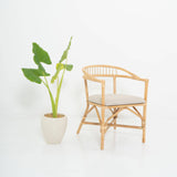 Deluxe Wooden Dining Chair Mojo Boutique 