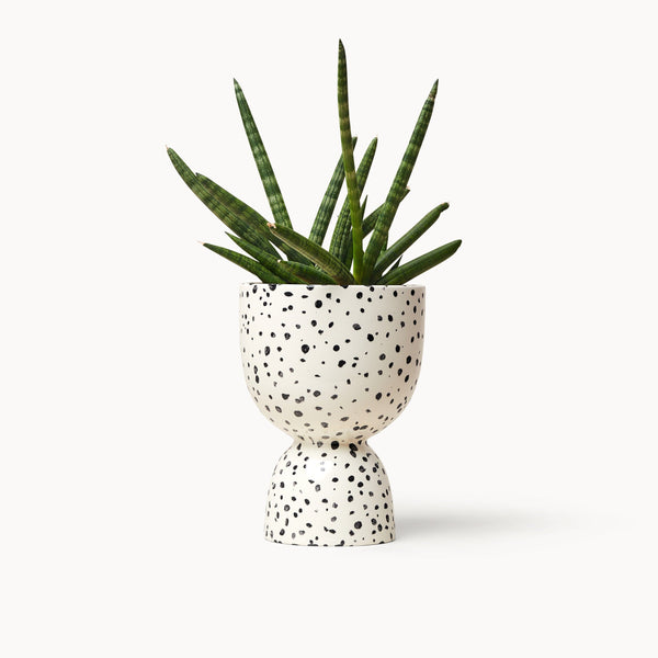 Franca NYC Speckled Stacked Planters Franca NYC 