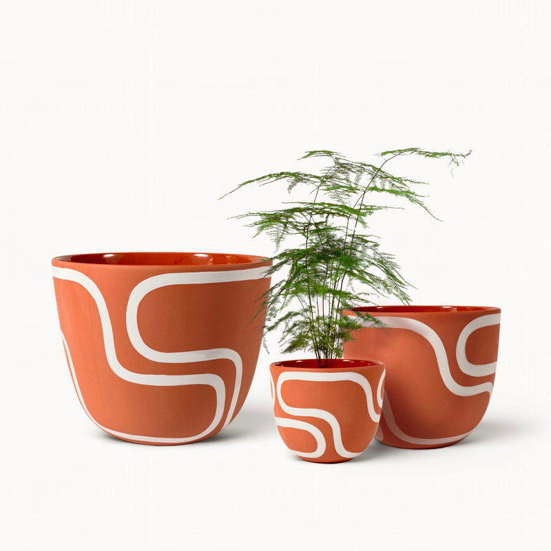 Franca NYC Terracotta Outline Planters Franca NYC 