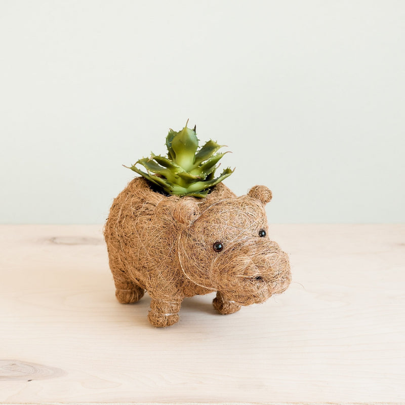Hippo Planter Planters LIKHÂ Baby 