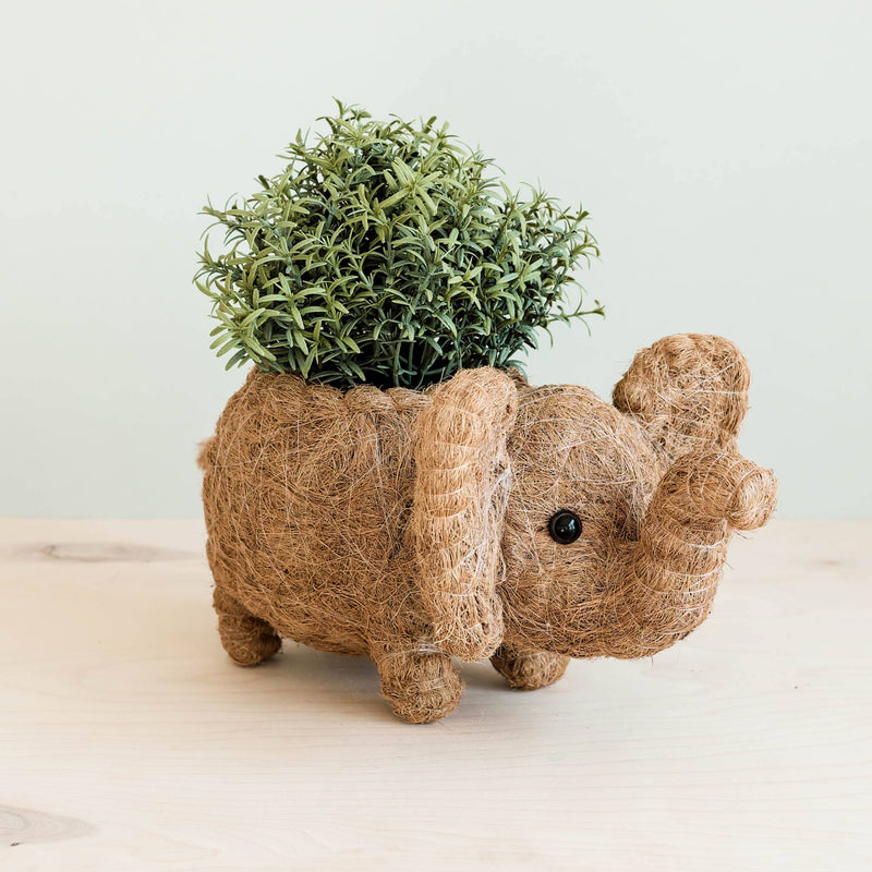 LIKHÂ Elephant Plant Pot - Handmade Planter | LIKHÂ Planters LIKHÂ 