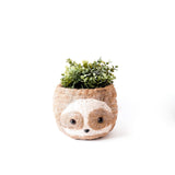 LIKHÂ Large two-tone Sloth - Coco Coir Pots (6 inch) | LIKHÂ Planters LIKHÂ 