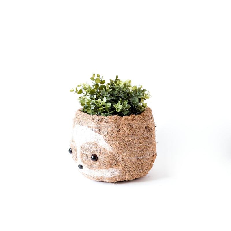 LIKHÂ Large two-tone Sloth - Coco Coir Pots (6 inch) | LIKHÂ Planters LIKHÂ 