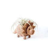 LIKHÂ Triceratops Planter - Coco Coir Pots | LIKHÂ Planters LIKHÂ 