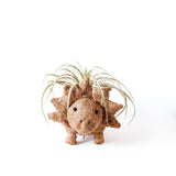 LIKHÂ Triceratops Planter - Coco Coir Pots | LIKHÂ Planters LIKHÂ 