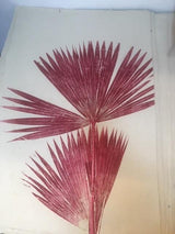 Magda Made Fique Palm Print Made Trade Burgundy