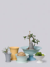 Middle Kingdom Footed Porcelain Vase - Bisque Home Goods Middle Kingdom 