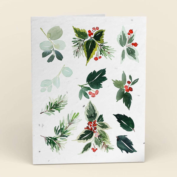 Mistletoe Plantable Cards - 10 Pack Greeting Cards Cute Root 