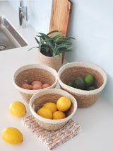 Savar Plant Bowl Set Baskets Korissa 