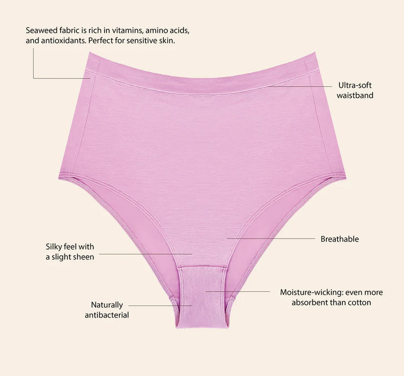 Seacell Full Coverage Brief - Berry Underwear Esme 