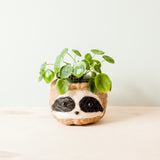 Sloth Planter Pots Planters LIKHÂ Black Eyes 