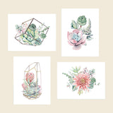 Succulent Arrangements Plantable Cards - 8 Pack Greeting Cards Cute Root 