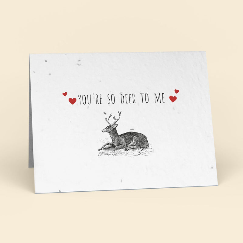 You're So Deer To Me Plantable Cards - 10 Pack Greeting Cards Cute Root 